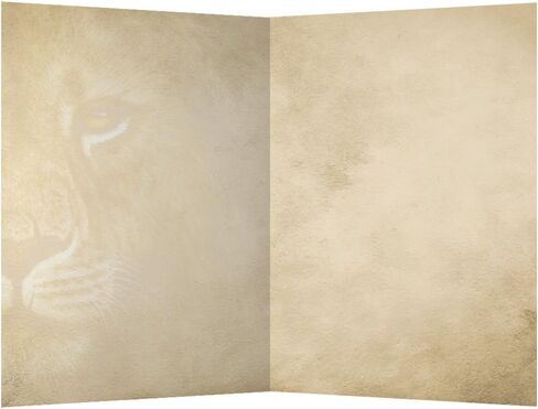 Tree-Free Greetings EcoNotes 12 Count Siberian Tiger All Occasion Notecard Set with Envelopes, 4 x 6 Inches (FS66732) in Saudi Arabia