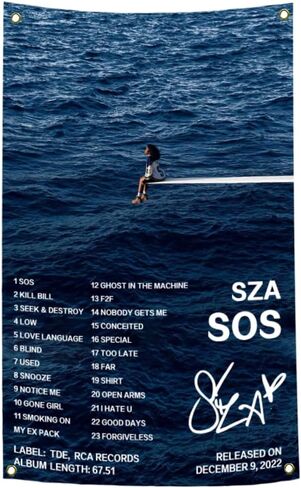 SZ & A ملصق ألبوم Sos غطاء موسيقى العلم 5x3Ft المغني الأمريكي نسيج تذكارية المقتنيات غرفة المعيشة غرفة نوم كلية النوم الرجال كهف جدار العلم in Kuwait