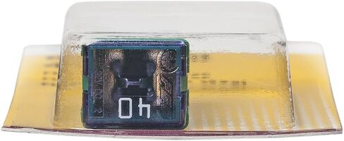 Bussmann (BP/FMX-20-RP) Blue 20 Amp Female Maxi Fuse in Kuwait