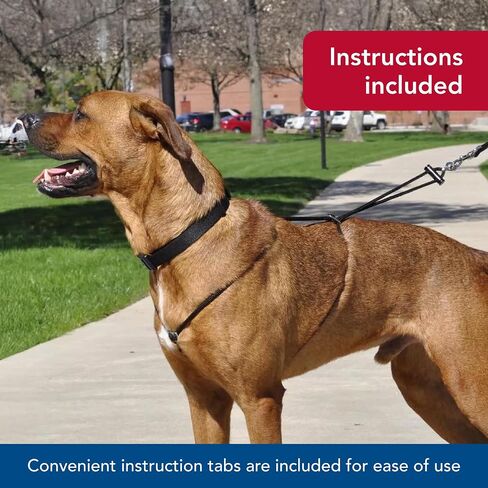 حزام تحكم للكلاب قابل للتعديل من Coastal Pet Holt - حزام للكلاب الكبيرة والصغيرة - حزام للمشي للكلاب - تتضمن التعليمات مستلزمات الحيوانات الأليفة للكلاب - أسود، كبير (26 بوصة) in Saudi Arabia