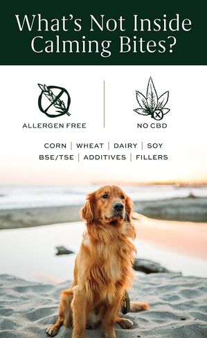 لدغات مهدئة من Breedwise، جميعها طبيعية تمامًا، من القلق والإجهاد، وتقلل من التوتر بنكهة لحم الخنزير المقدد الهيكوري للكلاب، 60 قطعة من الجرار in Kuwait