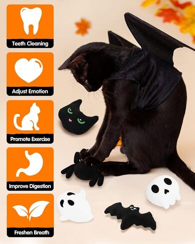 CiyvoLyeen 6 Pack Avocato Taco Chili Nacho Catnip Toys Dental Health Cat Toys Interactive Cat Toys for Indoor Cats Kitten Toy Cat Chew Toy Catnip Toys for Cats Birthday for Cat Lovers Indoor in Saudi Arabia