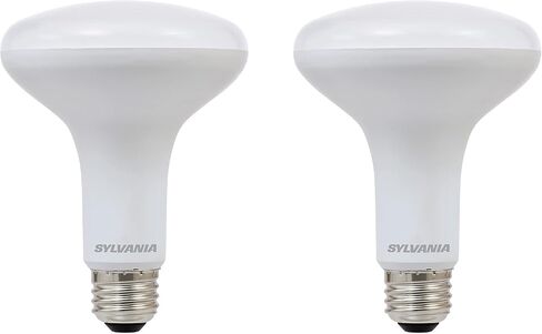 SYLVANIA Incandescent G25 Décor Globe Light Bulb, 40W, Dimmable, E26 Medium Base, Clear, 2850K, Warm White - 6 Pack (14191) in Kuwait