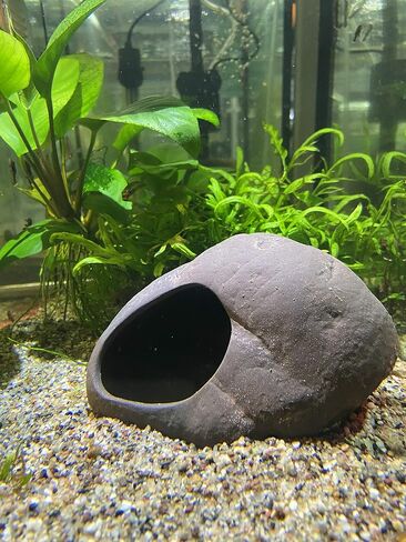 Plecoceramics Cichlid Stone Decoration - Medium Aquarium Rock - Fish Tank Hideaway Decor for African Cichlids in Saudi Arabia
