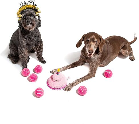 Midlee Happy Birthday Dog Tennis Balls (12 Pack) (Small, Blue) in Kuwait