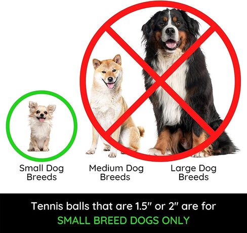 Midlee Happy Birthday Dog Tennis Balls (12 Pack) (Small, Blue) in Kuwait