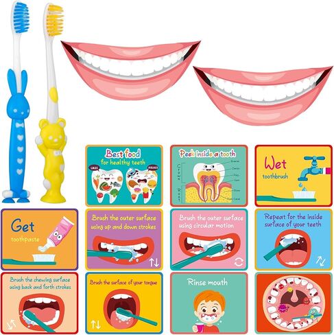 Skylety 2 Set Dentist Kit for Kids Dental Teeth Model with Toothbrush and Children Dental Educational Cards, Dentist Standard Size Fake Braces Demonstration Dental Teaching Kit for Children Student in Saudi Arabia