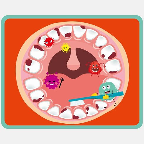 Skylety 2 Set Dentist Kit for Kids Dental Teeth Model with Toothbrush and Children Dental Educational Cards, Dentist Standard Size Fake Braces Demonstration Dental Teaching Kit for Children Student in Saudi Arabia