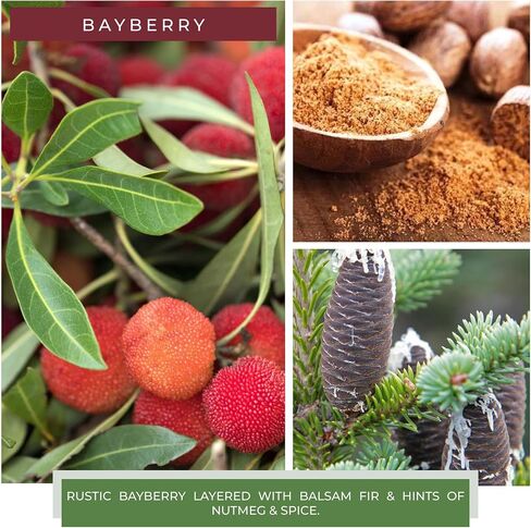 A Cheerful Giver - Aspen Berry - 6oz Baby Scented Candle Jar with Lid - Keepers of The Light - 30 Hours of Burn Time, Gift for Women, Red in Saudi Arabia