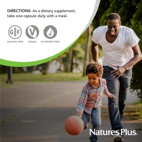 NaturesPlus Ultra One Iron Free - 90 Easy to Swallow Capsules - High Potency Once Daily Multivitamin & Mineral Supplement - Natural Energy - Vegetarian, Gluten-Free - 90 Servings in Saudi Arabia