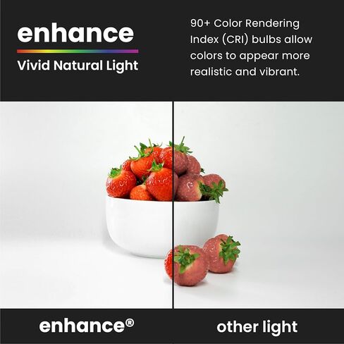 Feit Electric LED A19 Medium Base Light Bulb - 40W Equivalent - 15 Year Life - 450 Lumen - 2700K Soft White - Dimmable | 2-Pack in Saudi Arabia