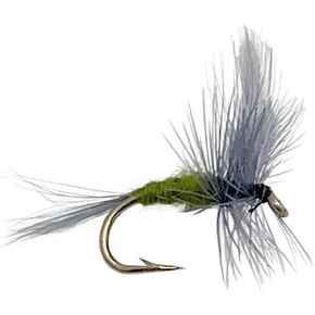 Feeder Creek Fly Fishing Trout Flies - Blue Wing Olive Parachute Dry Fly Set - One Dozen Flies - 4 Size Assortment 12,14,16,18 (3 of Each Size) in Kuwait