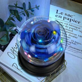 Valentines Day Gift for Her,Valentines Flower Rose Light Up Rose in A Dome,Rose Flower Gifts for Anniversary Birthday Valentines Day Decorations