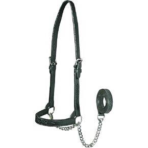 Derby Originals New and Improved Premium Flat Fancy Stitch Leather Cattle Show Halter with Matching Chain Lead