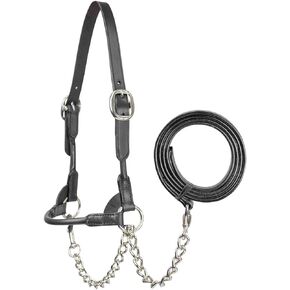 Derby Originals New and Improved Premium Round Rolled Leather Cattle Show Halter with Matching Chain Lead