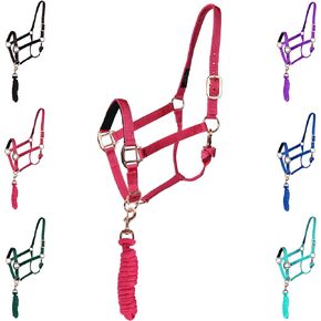 Majestic Ally Halter with Lead Rope for Horses–Adjustable Chin and Crown–Rolled Throat Latch with Replaceable Snap–Padded Noseband–Heavy Duty Rose Gold Finish Hardware–Full