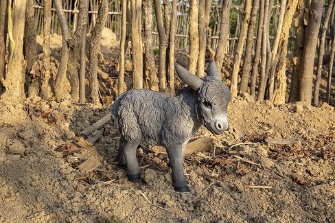 Standing Grey Donkey Looking Right Statue, Brown in Kuwait