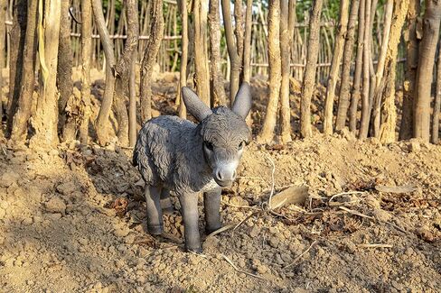 Standing Grey Donkey Looking Right Statue, Brown in Kuwait