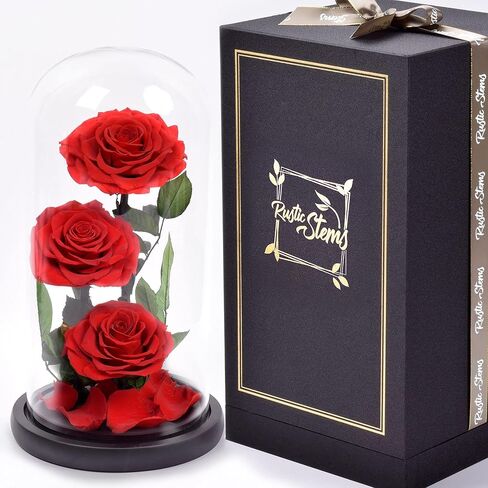 Luxury Preserved Real Rose Glass Dome Eternal Flower Forever Beauty Beast Love Gift for Mom Women Wife Girlfriend Valentine’s Wedding Birthday Anniversary Christmas Decor in Saudi Arabia