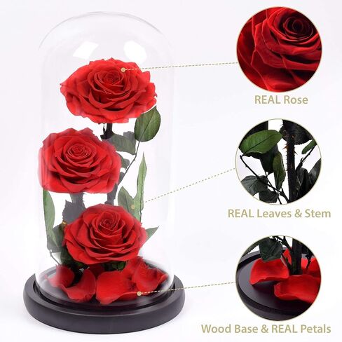 Luxury Preserved Real Rose Glass Dome Eternal Flower Forever Beauty Beast Love Gift for Mom Women Wife Girlfriend Valentine’s Wedding Birthday Anniversary Christmas Decor in Saudi Arabia