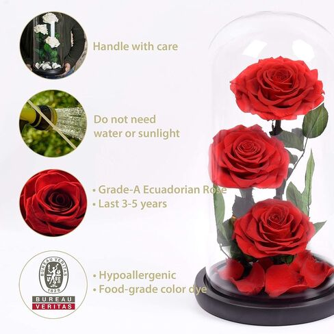 Luxury Preserved Real Rose Glass Dome Eternal Flower Forever Beauty Beast Love Gift for Mom Women Wife Girlfriend Valentine’s Wedding Birthday Anniversary Christmas Decor in Saudi Arabia