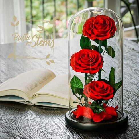 Luxury Preserved Real Rose Glass Dome Eternal Flower Forever Beauty Beast Love Gift for Mom Women Wife Girlfriend Valentine’s Wedding Birthday Anniversary Christmas Decor in Saudi Arabia