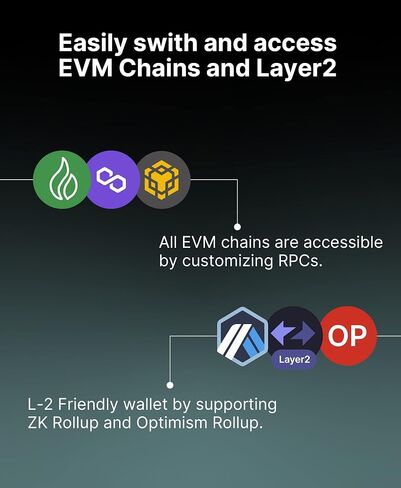 imKey imKey Pro Cryptocurrency Hardware Wallet, CC EAL 6+ Secure Level, Offline Operates, Multi-Secure, Safely Stores Your Crypto (Ethereum, Bitcoin, Litecoin and More), NFTs, Layer2, EVMa in Saudi Arabia