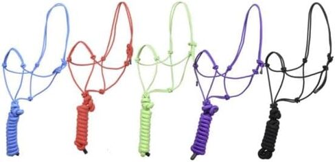 أربطة حبل للخيول ذات سلسلة بطول 8 أقدام، ورسن تدريب بأربعة عقد على حبل صلب مقاس 1/4 بوصة (متوسط، أخضر بحري) in Kuwait