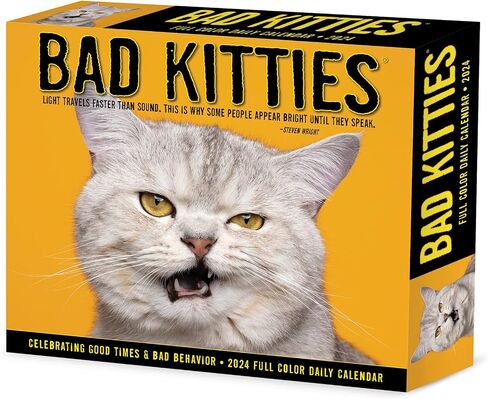 تقويم مكتب/صندوق يومي 2024 من Bad Kitties (5.86 بوصة × 4.72 بوصة) in Saudi Arabia