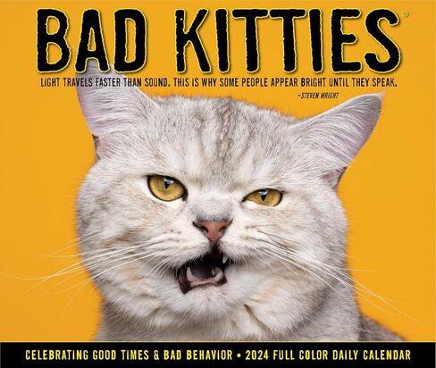 تقويم مكتب/صندوق يومي 2024 من Bad Kitties (5.86 بوصة × 4.72 بوصة) in Saudi Arabia