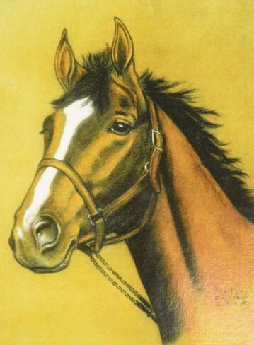 Horse Notebook in Saudi Arabia