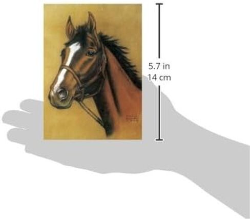 Horse Notebook in Saudi Arabia