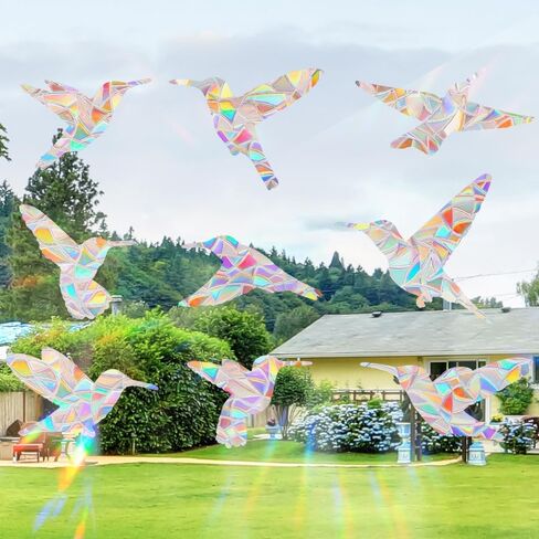 Bird Anti-Collision Window Stickers，Prism Window Cling，Electrostatic Rainbow Windows Stickers 、Used to Stop Birds from Hitting Windows (Bird -Style G) in Saudi Arabia