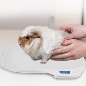 Pet Scale for Cats & Small Animals - Max 33 lbs Digital Weight Scale with LED Display, High-Precision Sensor for Pet Food & Kitchen Baking