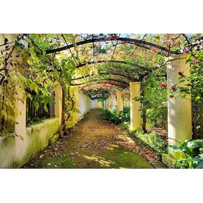 12-Feet Wide by 8-Feet high. Prepasted Robust Wallpaper Mural from a Photo of: Garden in Western Cape South Africa.Our murals are Easy to Install Remove and Reuse if U do as in Our Video.