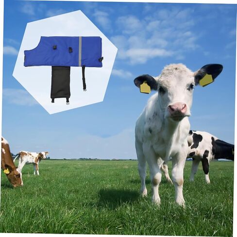 Calf Warm Coat and Windproof Vest for Cold Weather Thickened Belly Protection Design Easy to Clean and Maintain for Newborn Calves Suitable Up in Saudi Arabia