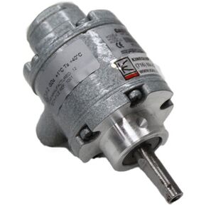 Bridgeport BP 11770273 Gast Air Motor