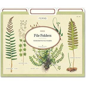 Fern File Folders in Kuwait