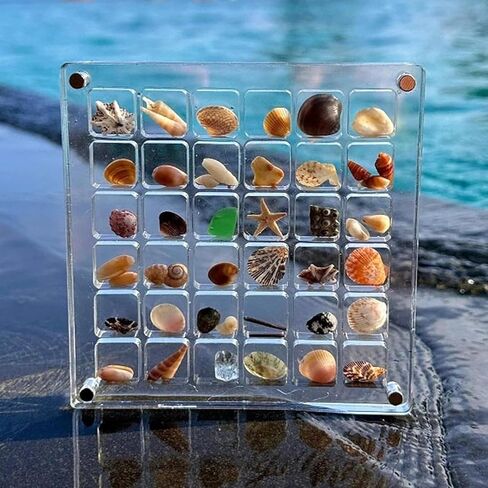 صندوق عرض صدف مغناطيسي من الأكريليك، صندوق تخزين صدف مزخرف من الأكريليك، حافظات عرض صخرية قابلة للتكديس، رف عرض نجم البحر، صندوق منظم للتخزين للصدف والخرز والمجوهرات (36 شبكة) in Kuwait