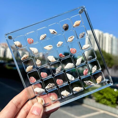 صندوق عرض صدف مغناطيسي من الأكريليك، صندوق تخزين صدف مزخرف من الأكريليك، حافظات عرض صخرية قابلة للتكديس، رف عرض نجم البحر، صندوق منظم للتخزين للصدف والخرز والمجوهرات (36 شبكة) in Kuwait