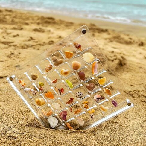 صندوق عرض صدف مغناطيسي من الأكريليك، صندوق تخزين صدف مزخرف من الأكريليك، حافظات عرض صخرية قابلة للتكديس، رف عرض نجم البحر، صندوق منظم للتخزين للصدف والخرز والمجوهرات (36 شبكة) in Kuwait