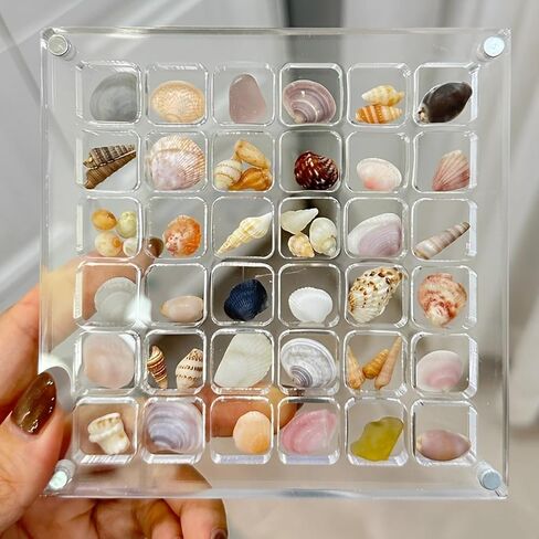 صندوق عرض صدف مغناطيسي من الأكريليك، صندوق تخزين صدف مزخرف من الأكريليك، حافظات عرض صخرية قابلة للتكديس، رف عرض نجم البحر، صندوق منظم للتخزين للصدف والخرز والمجوهرات (36 شبكة) in Kuwait