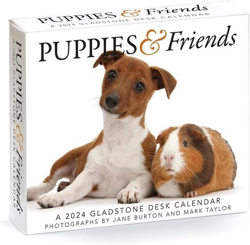 الجراء والأصدقاء 2024 تقويم مكتبي in Kuwait