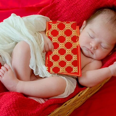 Marspark 60 pcs Chinese New Year Red Envelopes 2025 Chinese Red Packets Hong Bao Gift Spring Festival Lucky Money Envelopes 6 Designs 3.5 x 6.7 Inches(Modern Pattern) in Kuwait