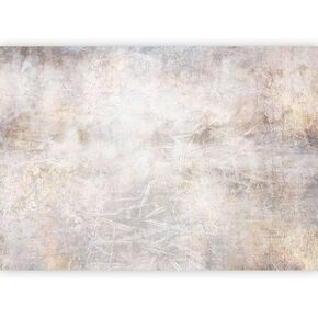artgeist Premium Wall Mural Abstract 98x69 in - Non-Woven Wallpaper Fleece Wall Decor Photo Print Picture Image Design Home Mural Concrete Nature Retro Like Painted f-C-10030-a-a