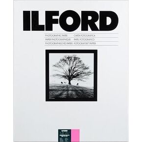 Ilford Multigrade IV RC Deluxe Glossy 16x20 10 Sheets