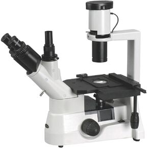 AmScope IN300T Long Working Distance Inverted Trinocular Microscope, 40x-400x, WH10x Super-Widefield Eyepieces, Phase-Contrast Objectives, 30W Halogen Illumination, 0.3 NA Abbe Condenser, Mechanical Stage, 110V