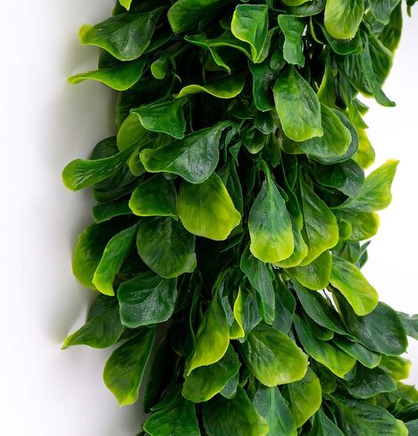 bhappy Boxwood Wreath 15 inch Artificial Greenery Wreath Indoor Front Door Home Hanging Wall Window Wedding Party Decor in Saudi Arabia