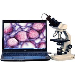 AmScope B100-5M Digital Compound Binocular Microscope, 40X-1000X Magnification, Brightfield, Tungsten Illumination, Abbe Condenser, Plain Stage, Includes 5MP Camera with Reduction Lens and Software