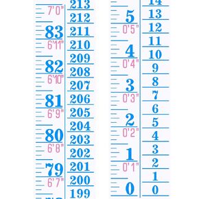 Tatuo Growth Chart Wall Labels Height Indicator Tape Ruler Growth Chart Decor Height Indicator Adhesive Ruler for Home Room Measuring(Colorful)